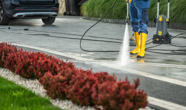 Best Fence Cleaning and Maintenance in La Fayette, AL